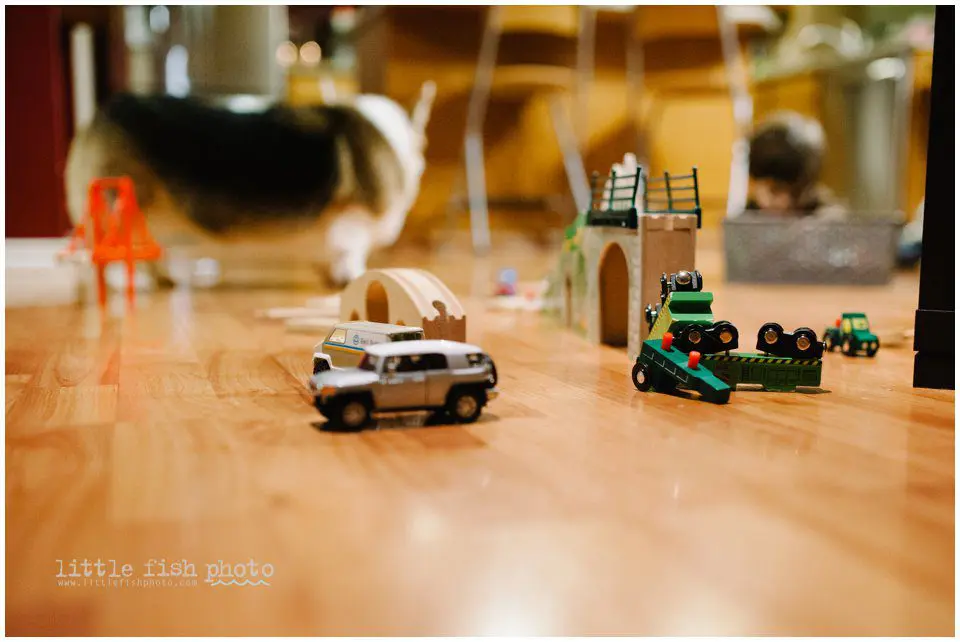 cars and trains - Kitsap Documentary Family Photographer
