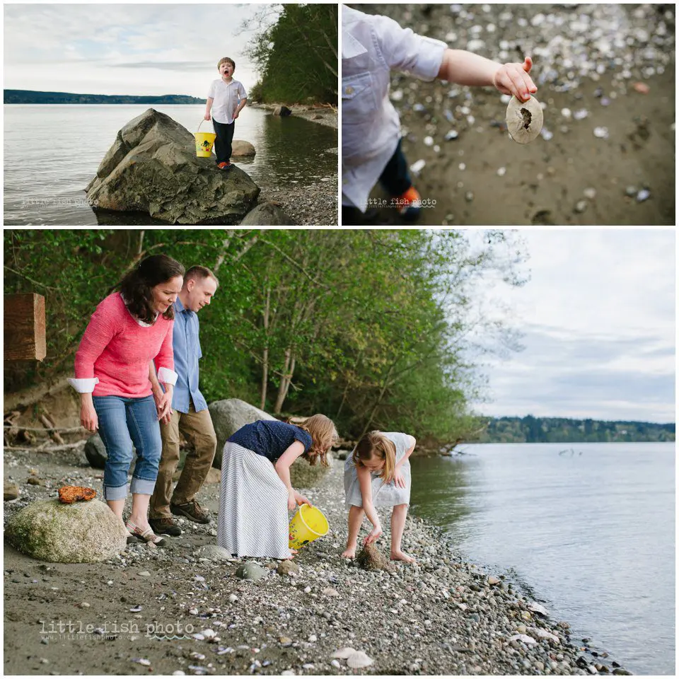 looking for shells on beach - family storytelling photography