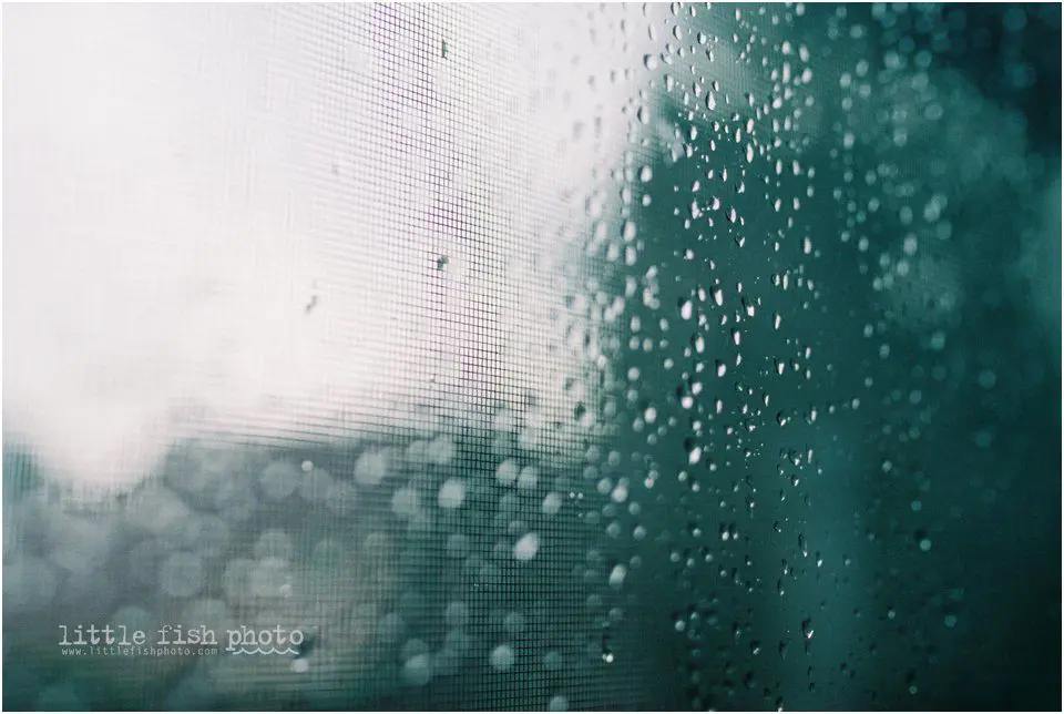 rain on window