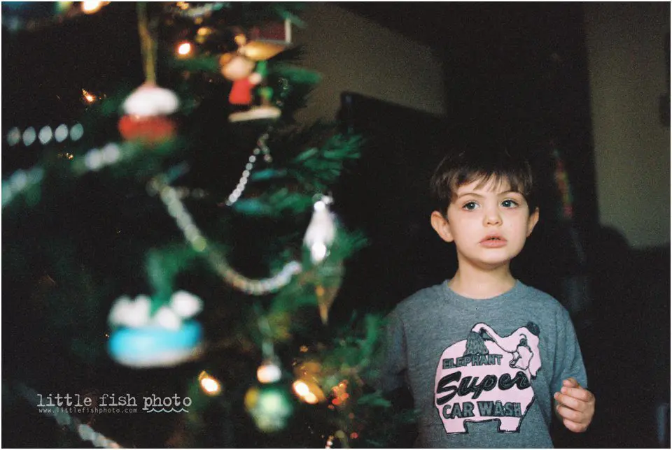 boy at christmas tree