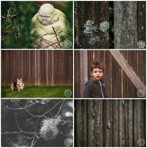 long lens isolation