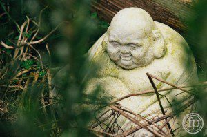 garden statue from long lens