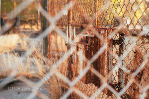 Photographic Sketches - Abandoned Batting Cages in Connecticut - Poulsbo Photographer