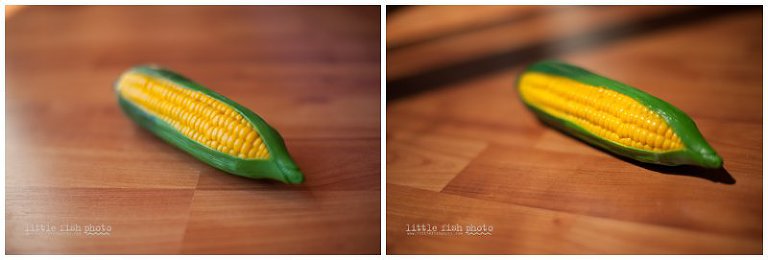 toy corn and the quality of light - Poulsbo Photographer