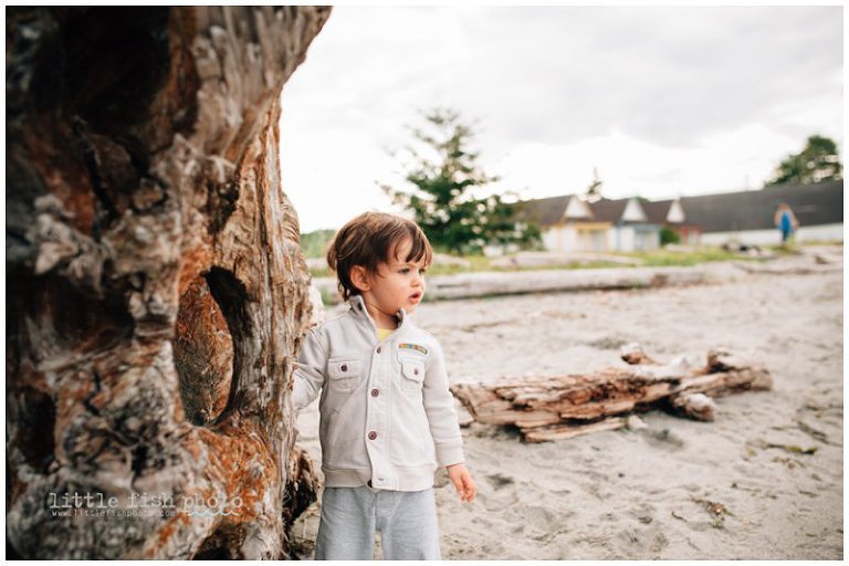 little boy under soft light - Poulsbo Photographer