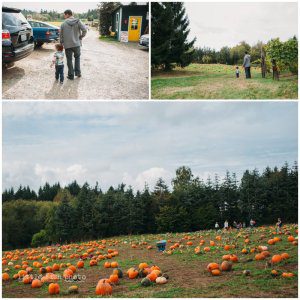Playing at the Pumpkin Patch - Bainbridge Island Photographer