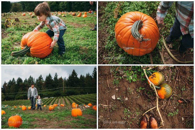 Playing at the Pumpkin Patch - Bainbridge Island Photographer