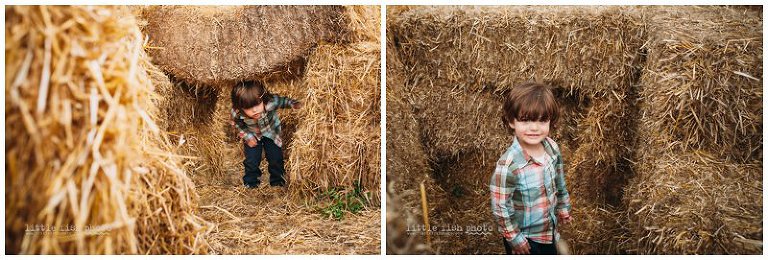 Playing at the Pumpkin Patch - Bainbridge Island Photographer