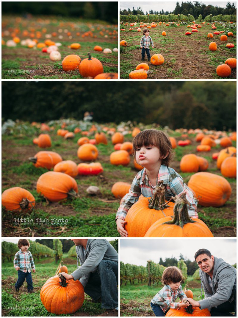 Playing at the Pumpkin Patch - Bainbridge Island Photographer