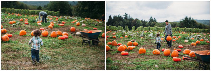 Playing at the Pumpkin Patch - Bainbridge Island Photographer