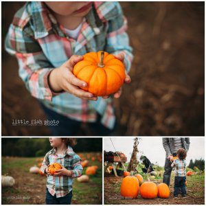 Playing at the Pumpkin Patch - Bainbridge Island Photographer