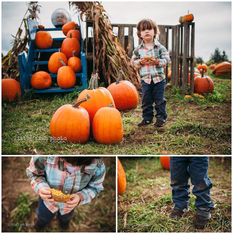 Playing at the Pumpkin Patch - Bainbridge Island Photographer