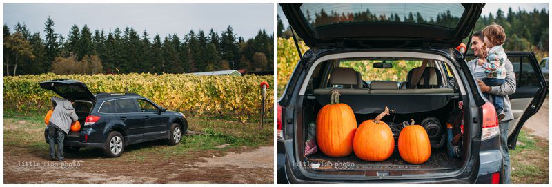 Playing at the Pumpkin Patch - Bainbridge Island Photographer