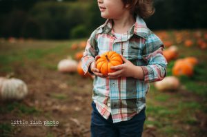 Playing at the Pumpkin Patch - Bainbridge Island Photographer
