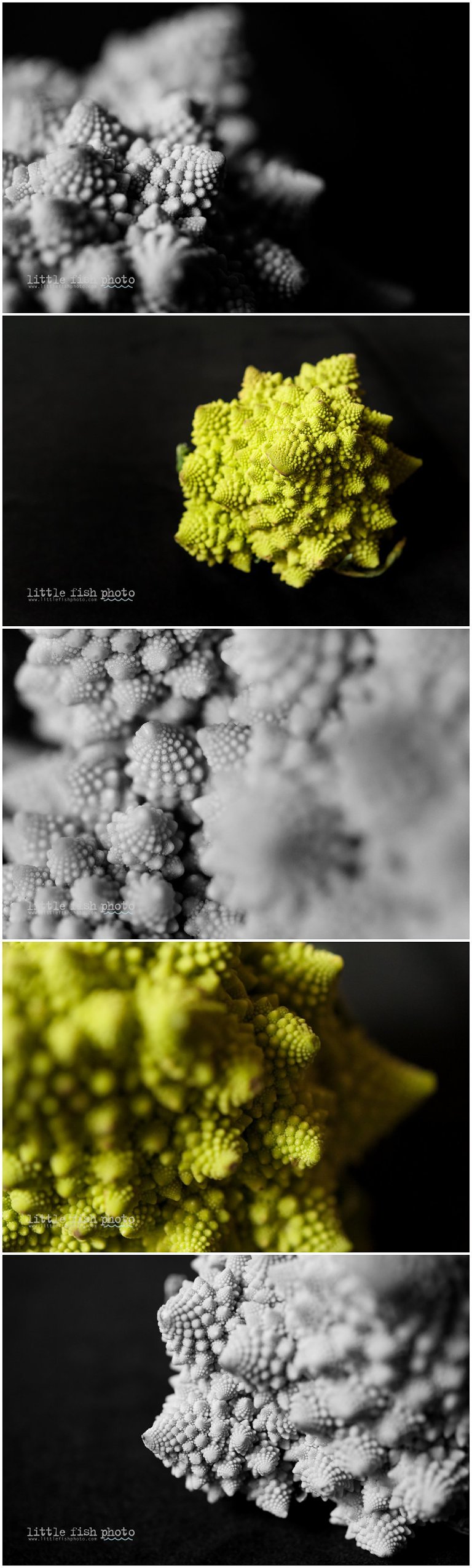 Beautiful food, Romanesco Broccoli - Kitsap Natural Light Photographer