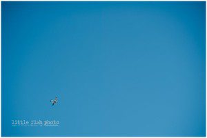 plane in clear skies - family documentary photography