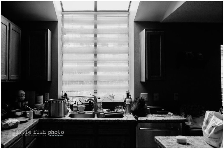 kitchen sink - Kitsap Documentary Family Photographer