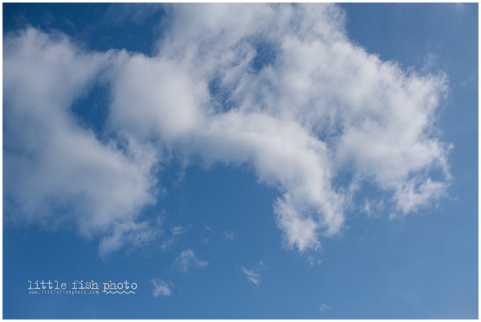 beautiful skies - Poulsbo Lifestyle Family Photographer