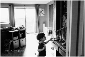 Feeding the cat - Kitsap Lifestyle Photographer