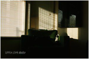 evening light falls on green chair