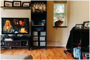 TV on, cat in window