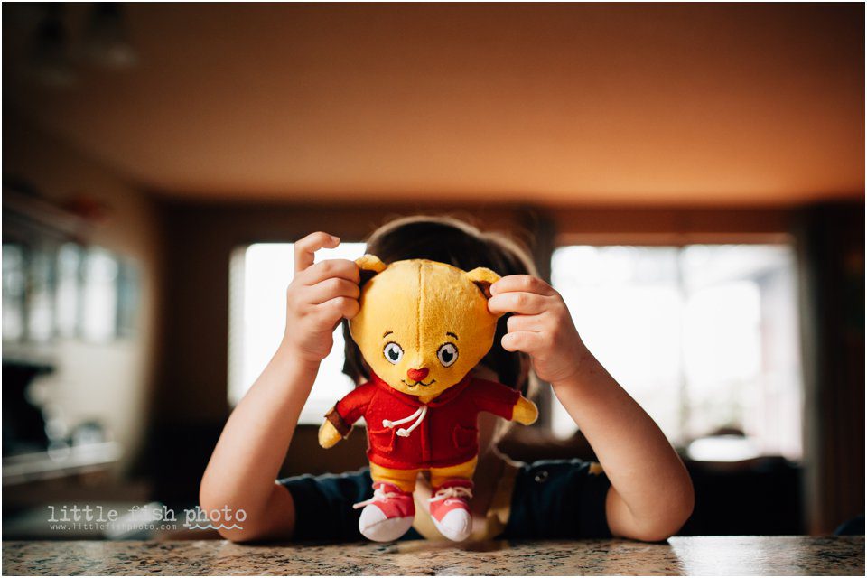boy with stuffed tiger - Sham of the perfect