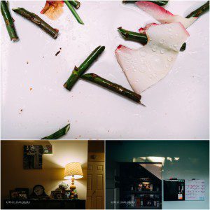 spots at home - Sham of the perfect
