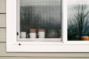 mugs in window