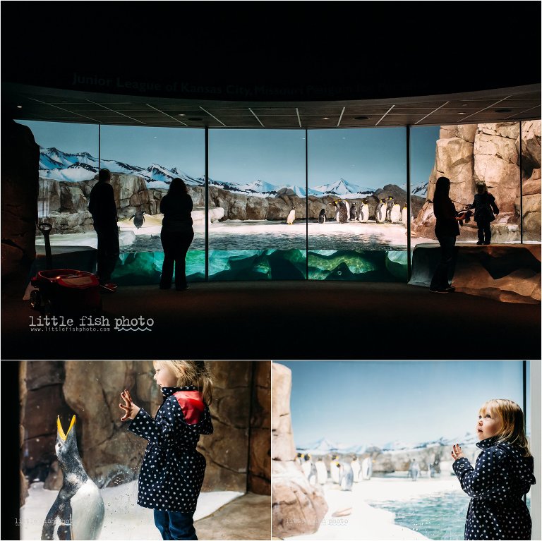 playing in the penguin house at the zoo - Documentary Family Photographer