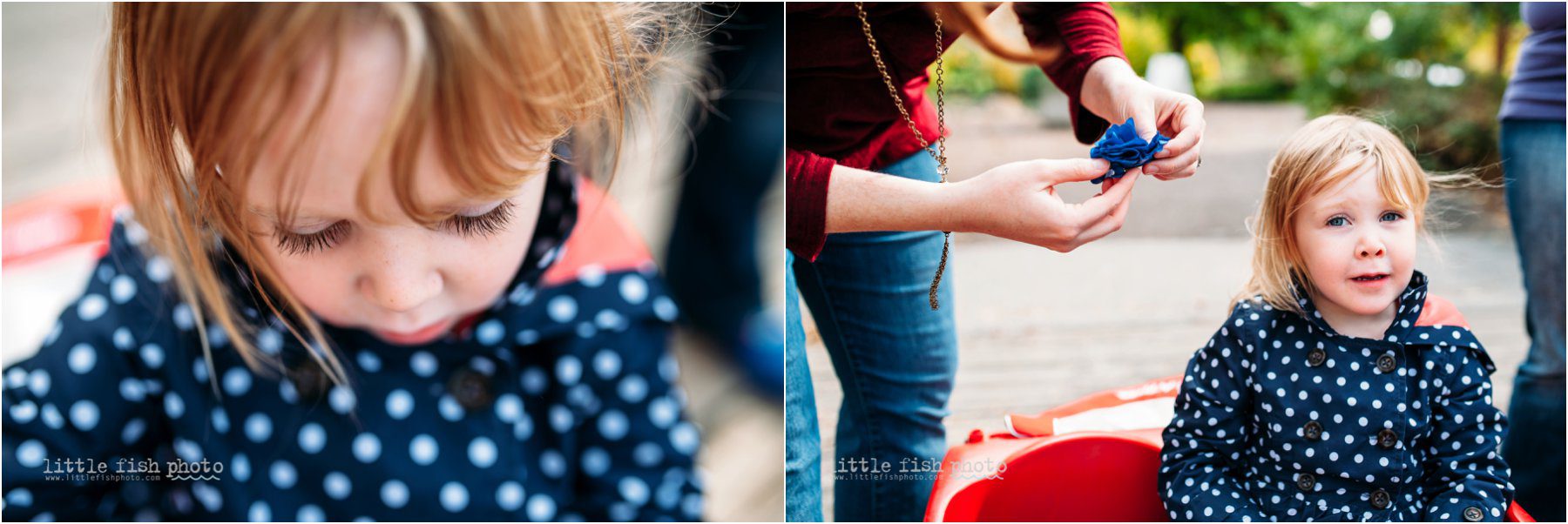 2 year old girl in wagon - Documentary Family Photographer