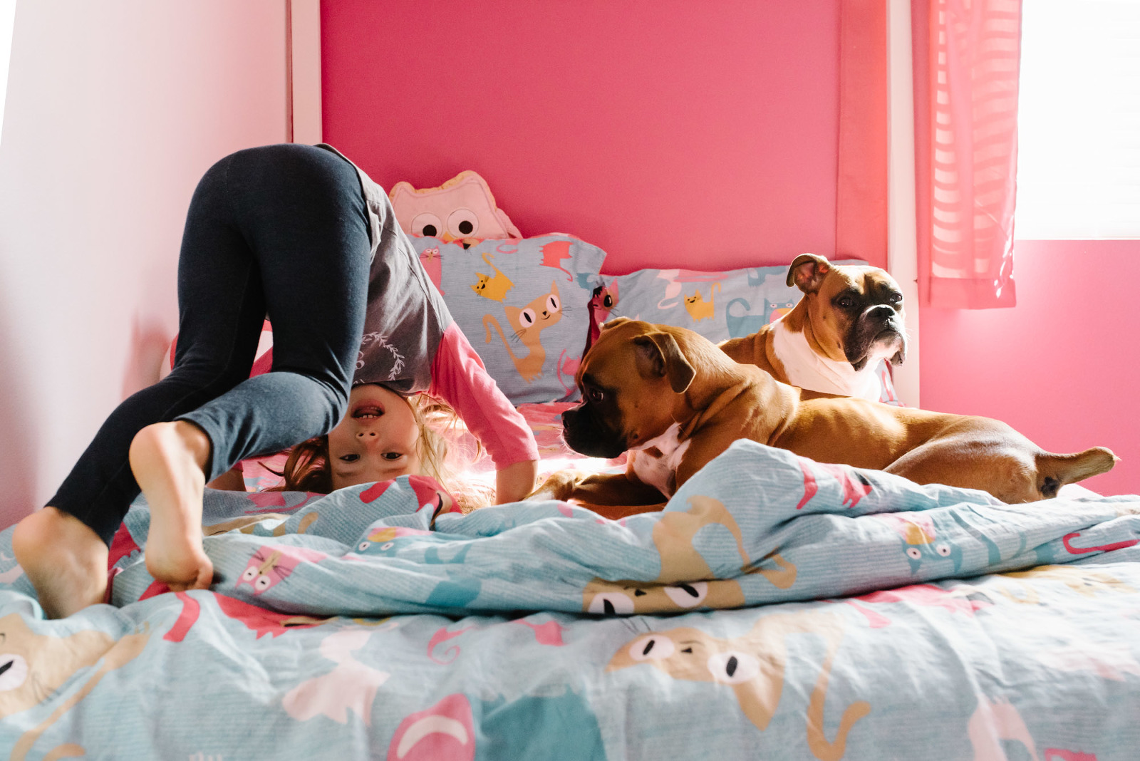 girl does summersault on bed with dogs