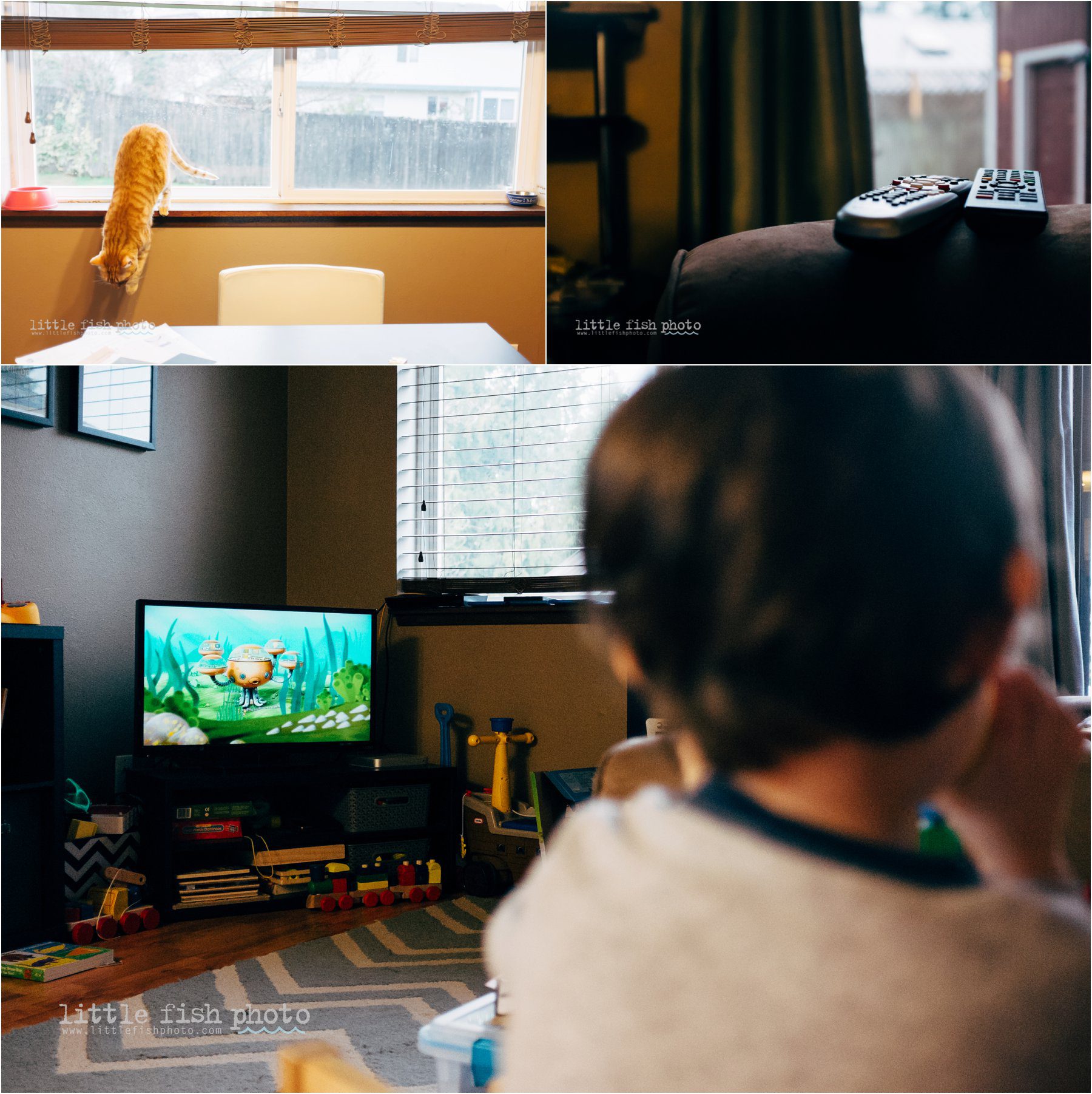 child watching TV - Kitsap Family Photographer