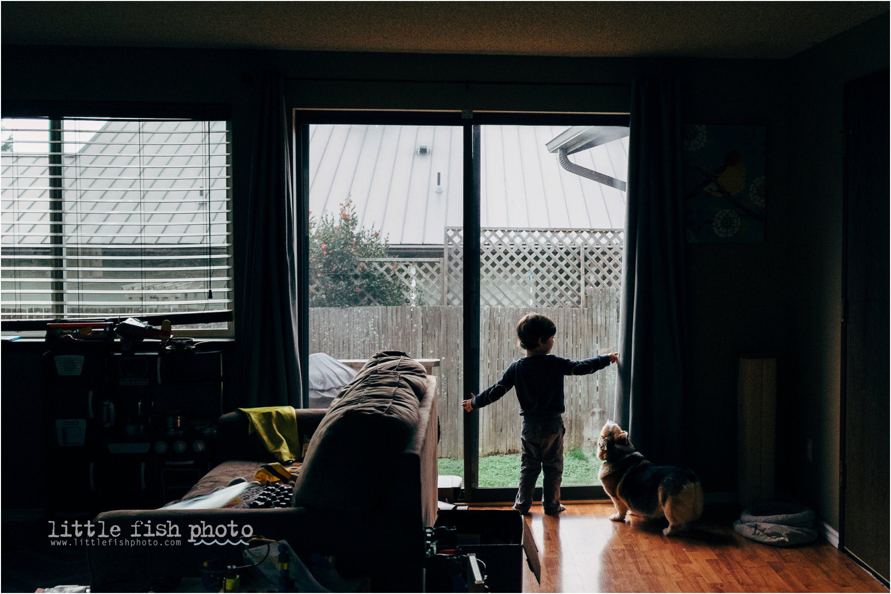 child lets out dog - Kitsap Family Photographer