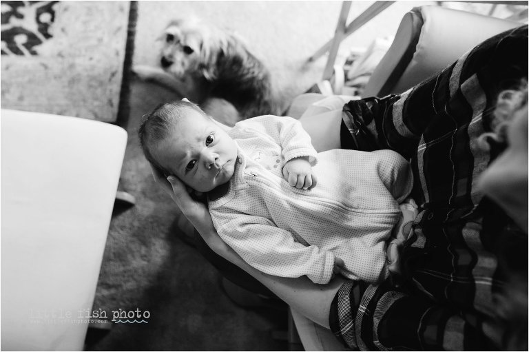 baby gives camera stink eye - Bainbridge Island documentary baby photographer