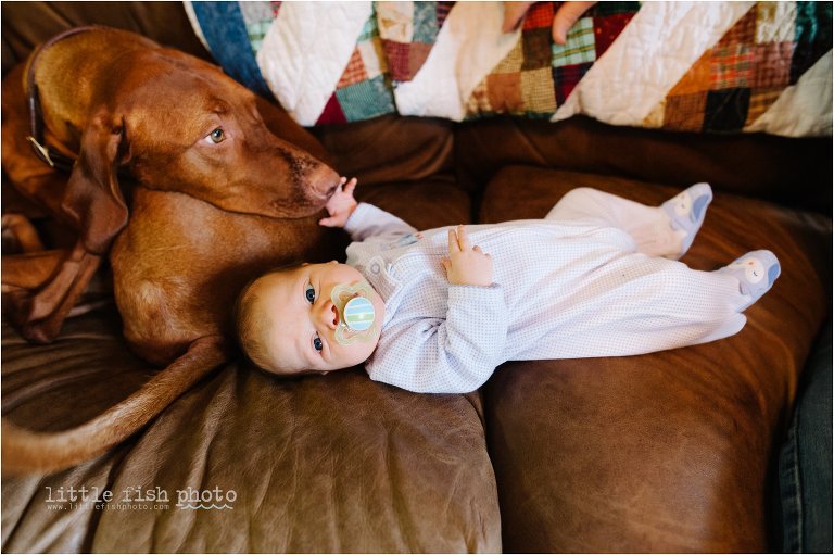 baby with dog on couch - Bainbridge Island documentary baby photographer