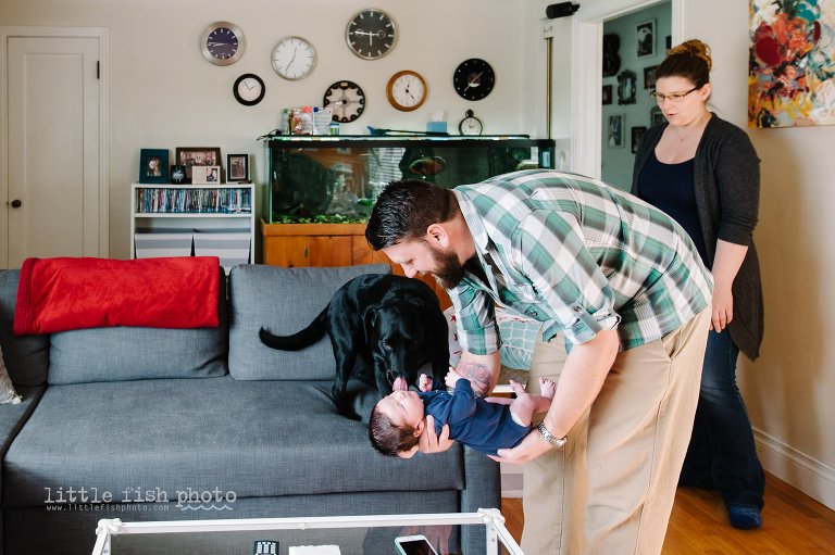 Father introduces baby to dog - Bremerton Lifestyle Newborn Photographer