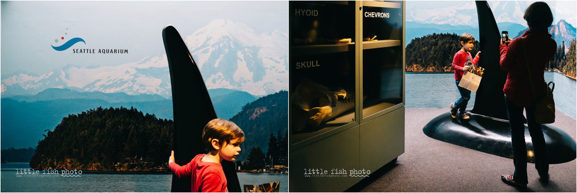 photo near orca fin replica - Kitsap Documentary Family Photographer