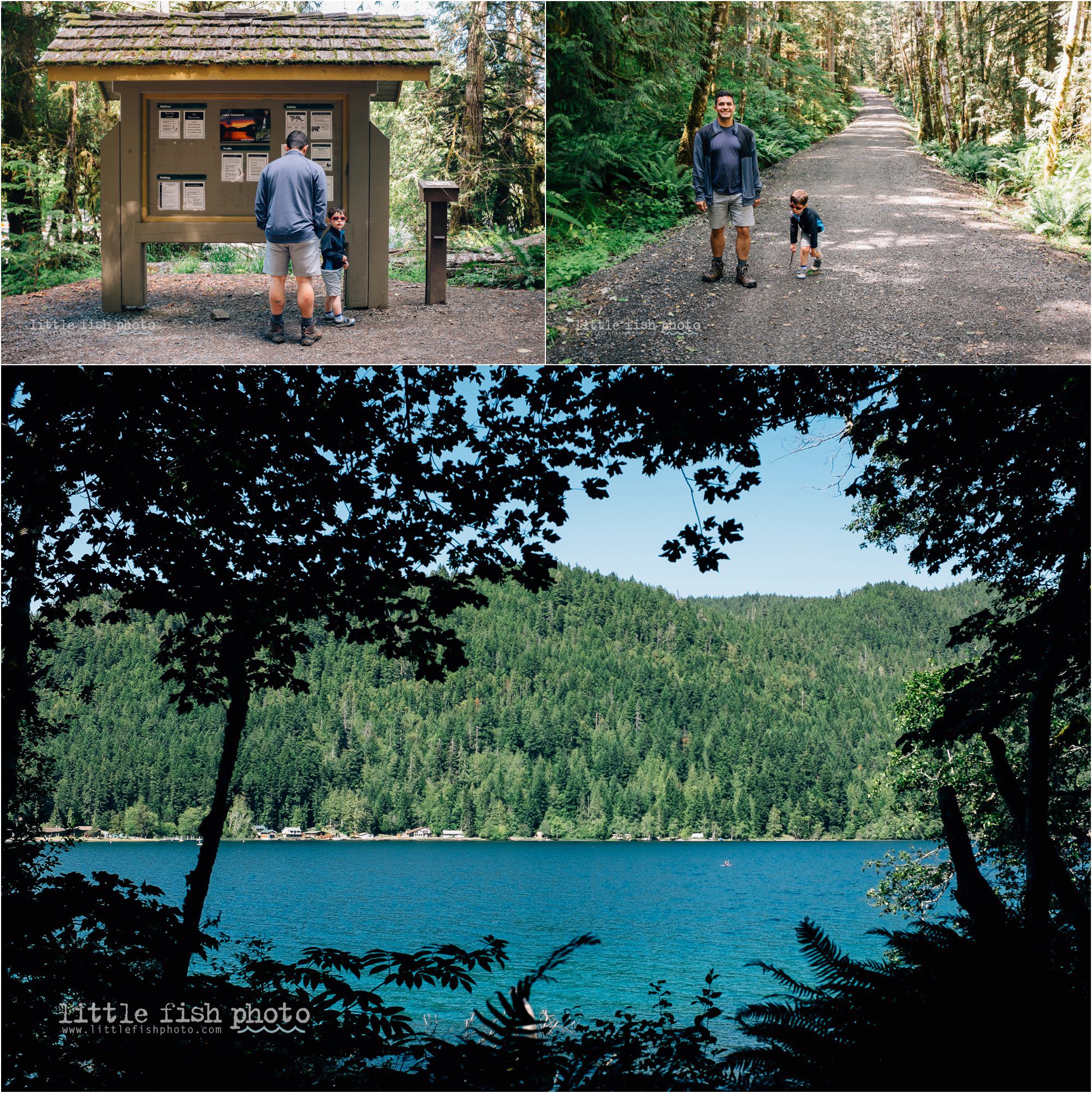 trailhead on lake crescent - Documentary Family Photographer