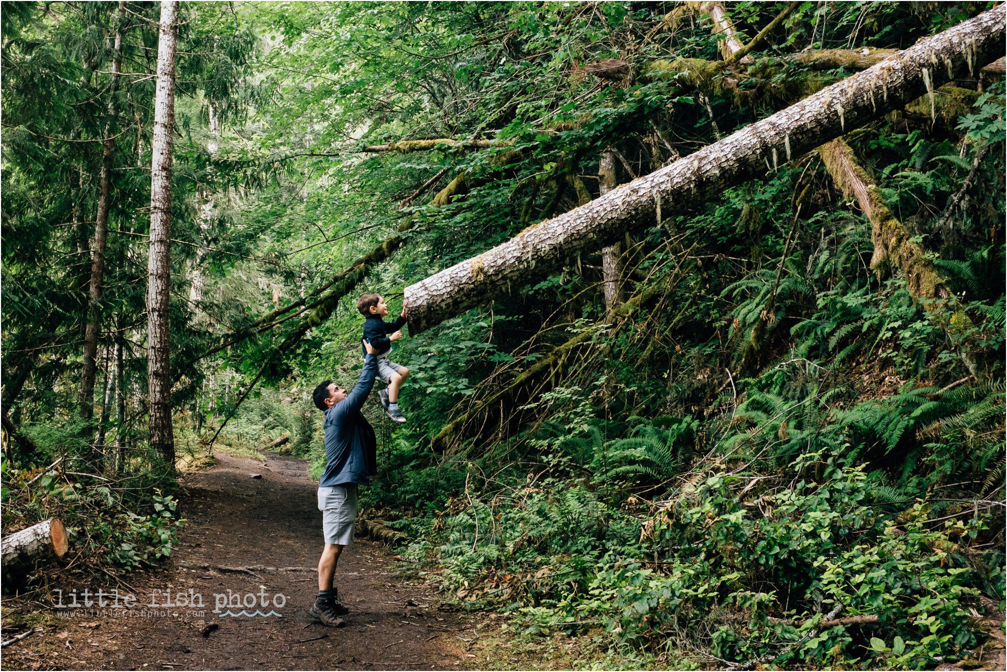 father and son hike in forest - Documentary Family Photographer