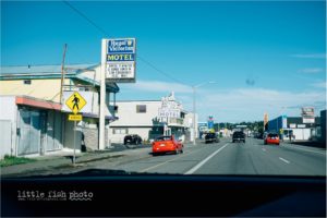 a drive through port angeles washington - father and son hike in forest - Documentary Family Photographer