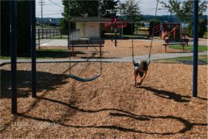little boy on swings - day-in-the-life-poulsbo-documentary-family-photographer