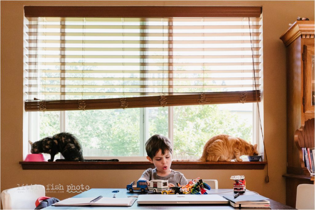 boy plays while cats eat - day-in-the-life-poulsbo-documentary-family-photographer