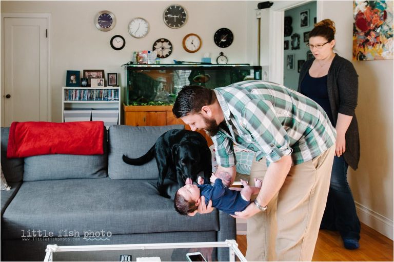 newborn boy meets dogs