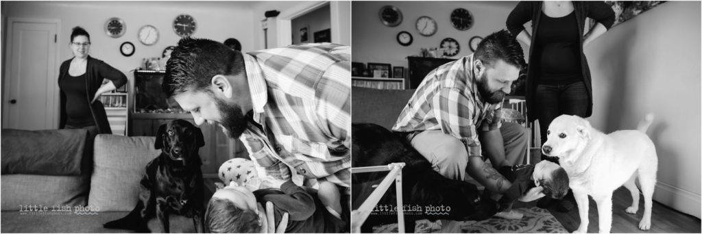 newborn boy meets dogs