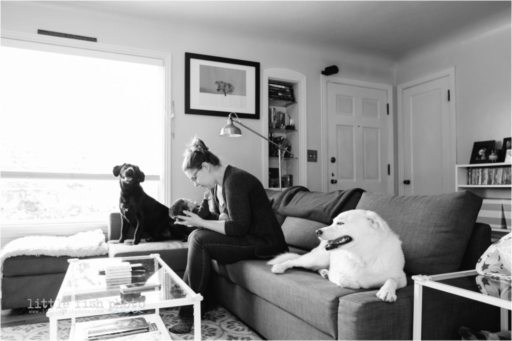 newborn boy with mom and dogs on couch