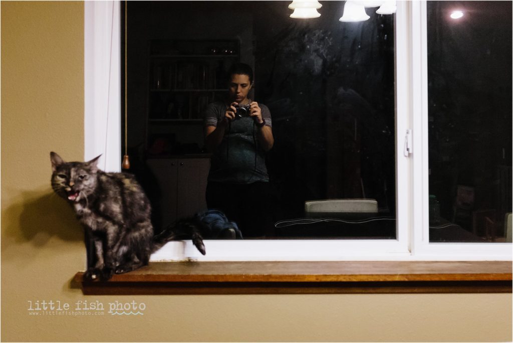medicating the cat