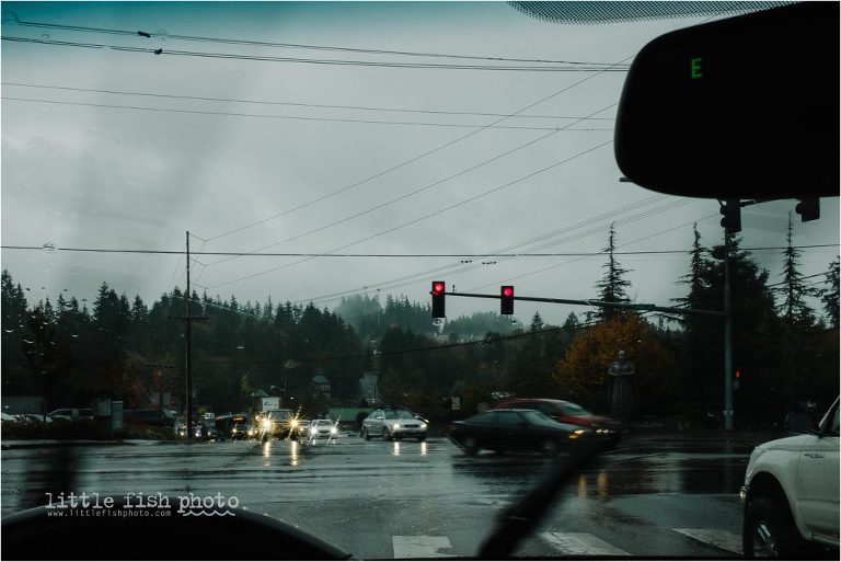 rain through car windshield - documentary family photography