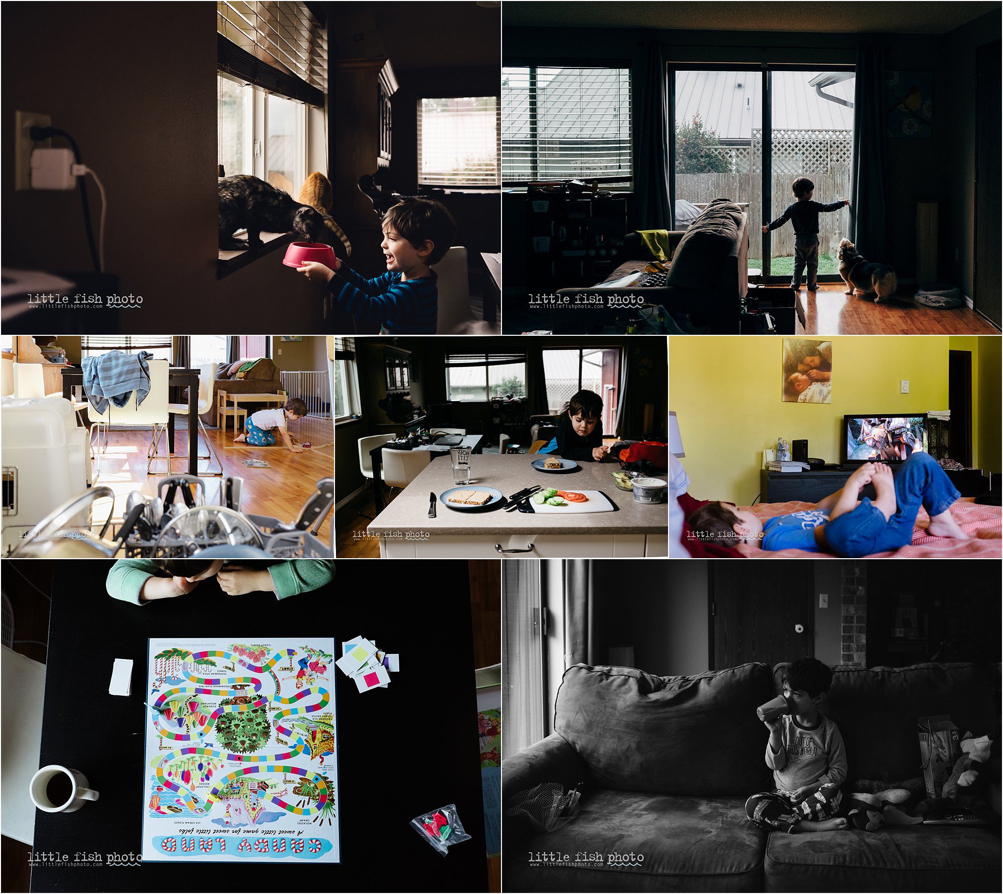 Boy at home - Kitsap Documentary Family Photographer