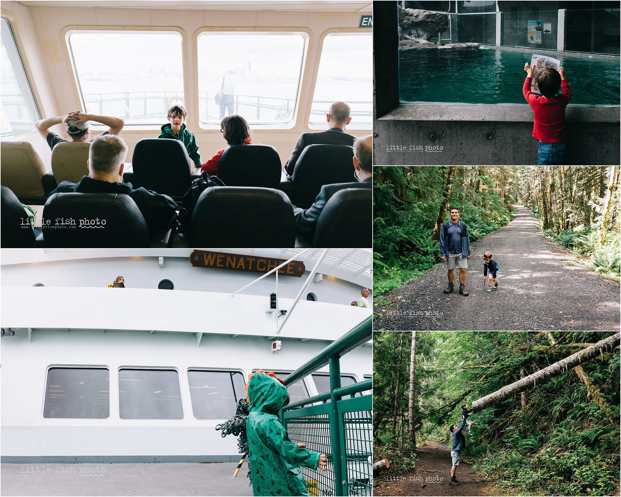 boy in Pacific Northwest - Kitsap Documentary Family Photographer