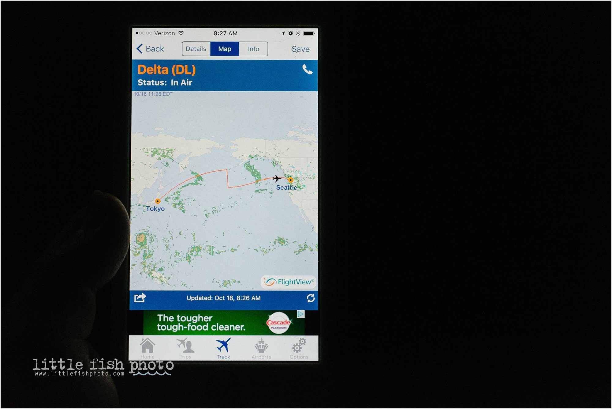 tracking flight - Documentary Family photography